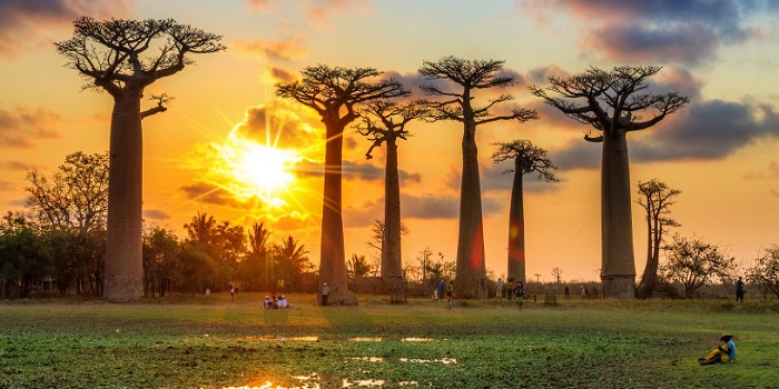 Dịch vụ đăng ký nhãn hiệu độc quyền tại Madagascar